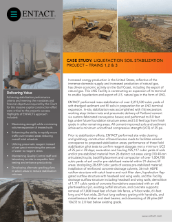 Ground Improvement for LNG Construction