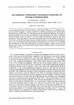 The Inefficiency of Ribosomes Functioning in