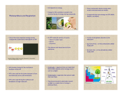 Chapter 4 - Urbandale Moodle