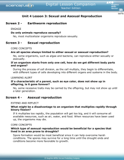 Sexual and Asexual Reproduction Guided Notes key