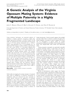 A Genetic Analysis of the Virginia Opossum Mating System