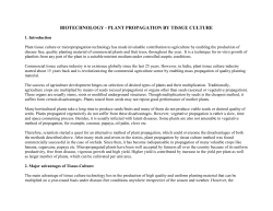 biotechnology - plant propagation by tissue culture