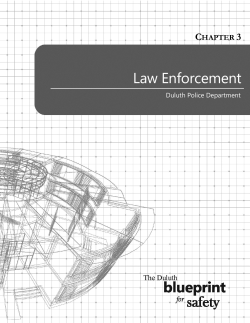 Law Enforcement - Domestic Abuse Intervention Programs