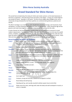 SHSA Breed Standard 18.02.2015 - Shire Horse Society of Australia