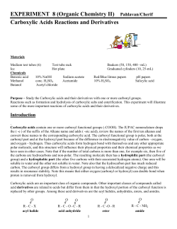 EXPERIMENT 8 (Organic Chemistry II) Pahlavan/Cherif