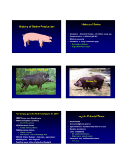History of Swine Production