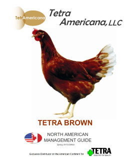 tetra brown - Centurion Poultry
