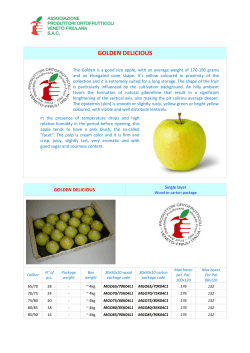 GOLDEN DELICIOUS