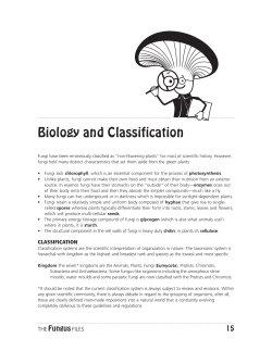 The Fungus Files