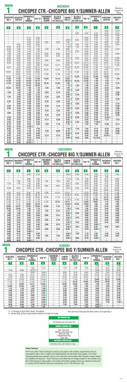 chicopee big y/sumner-allen