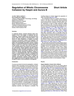 Short Article Regulation of Mitotic Chromosome