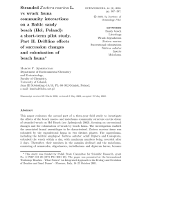Stranded Zostera marina L. vs wrack fauna community interactions