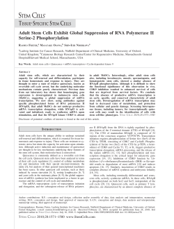 Adult Stem Cells Exhibit Global Suppression of RNA Polymerase II