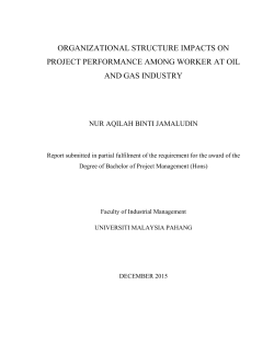 ORGANIZATIONAL STRUCTURE IMPACTS ON PROJECT