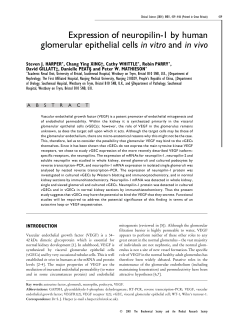 Expression of neuropilin-1 by human glomerular