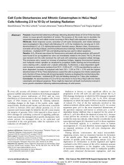 Cell Cycle Disturbances and Mitotic Catastrophes in HeLa Hep2