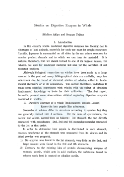 Studies on Digestive Enzyme m Whale