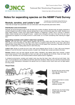 Notes for separating species on the NBMP Field Survey 2013