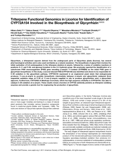 Triterpene Functional Genomics in Licorice for