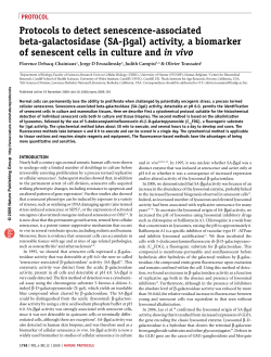 Protocols to detect senescence-associated beta