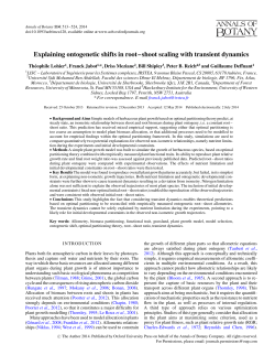 Explaining ontogenetic shifts in root&ndash;shoot