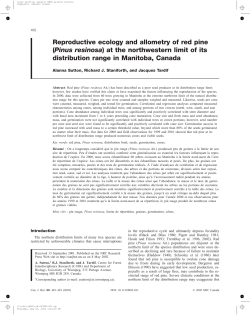 Reproductive ecology and allometry of red pine (Pinus resinosa) at