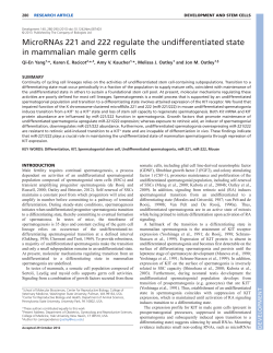 MicroRNAs 221 and 222 regulate the
