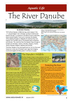 The River Danube