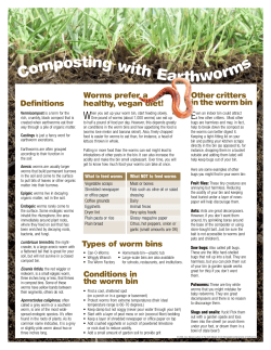 worms tabloid - Garden for the Environment