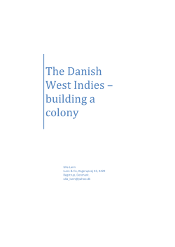 The Danish West Indies &ndash; building a colony