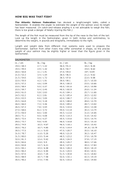 HOW BIG WAS THAT FISH?