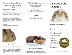 CARING FOR RABBITS