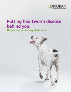 Pet Owner Brochure