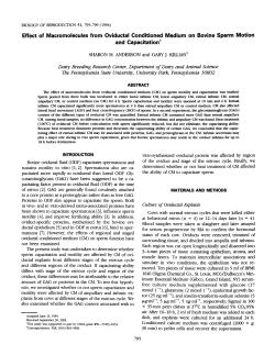 Effect of Macromolecules from Oviductal Conditioned Medium on