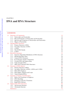 DNA and RNA Structure
