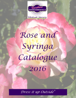 Rose and Syringa Catalogue 2016