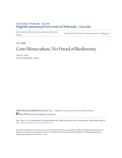 Corn Monoculture: No Friend of Biodiversity