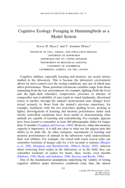 Cognitive Ecology: Foraging in Hummingbirds as a Model System