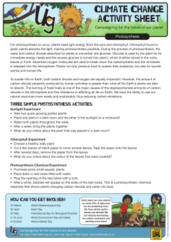 For more information on photosynthesis click here