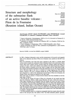 Structure and morphology of the submarine flank of an active