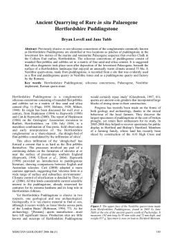 Lovell_Tubb_Mercian_2006 - East Herts Geology Club