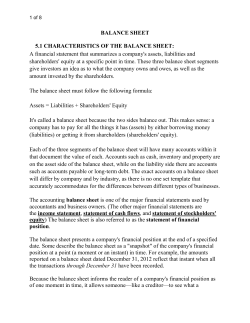 BALANCE SHEET 5.1 CHARACTERISTICS OF THE BALANCE