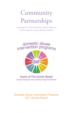 2011 Annual Report - Domestic Abuse Intervention Programs