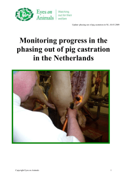 2009 Report on phasing out of pig castration