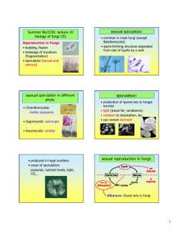sporulation: sexual reproduction in fungi: