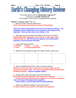 Name: Date: 1/28/11 Period: _____ Page #: ____ The review sheet