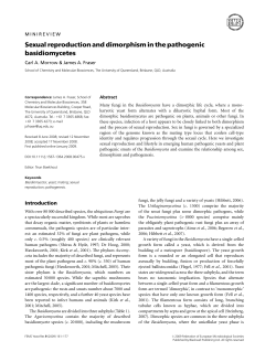 Sexual reproduction and dimorphism in the pathogenic