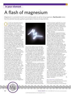 A flash of magnesium