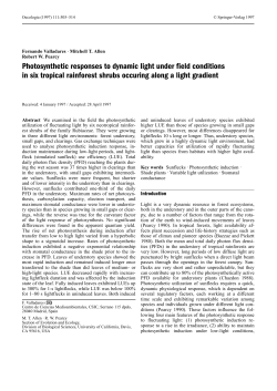 Photosynthetic responses to dynamic light under field conditions in