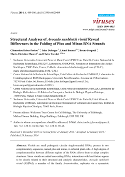 Structural Analyses of Avocado sunblotch viroid Reveal Differences